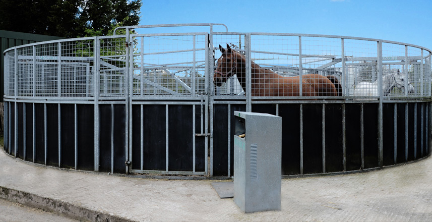 Joanne Shaw Equestrian - Facilities