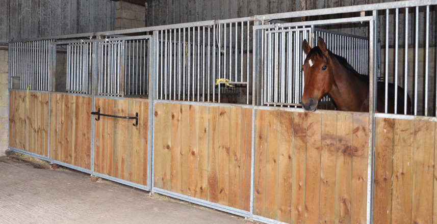 Joanne Shaw Equestrian - Facilities