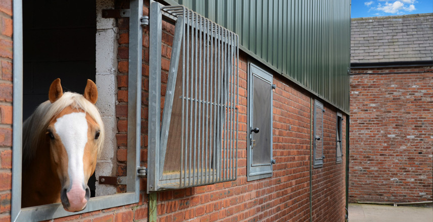 Joanne Shaw Equestrian - Services